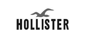 霍利斯特(Hollister Co.)品牌，一般称“Hollister”，或简称HCO，海鸥。是美国休闲服饰品牌A&F (Abercrombie Fitch) 旗下的一只副线品牌，Hollister面向青年男女，力求体现出南加州海滩冲浪风格。